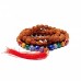 Rudraksha - Chakra de Rudraksha - Japa Mala +